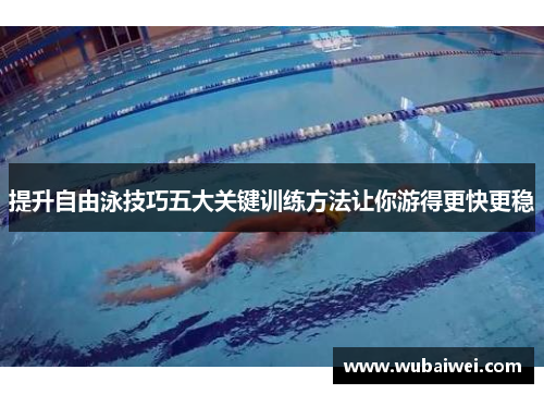 提升自由泳技巧五大关键训练方法让你游得更快更稳