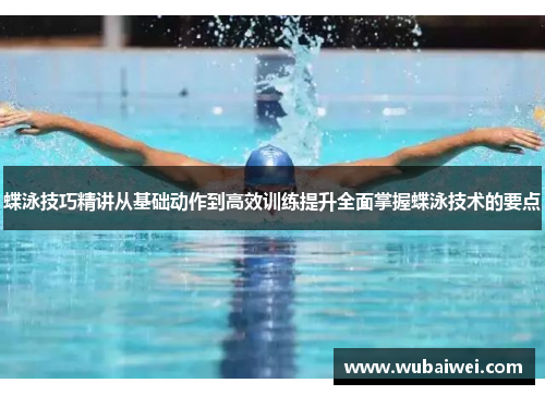 蝶泳技巧精讲从基础动作到高效训练提升全面掌握蝶泳技术的要点