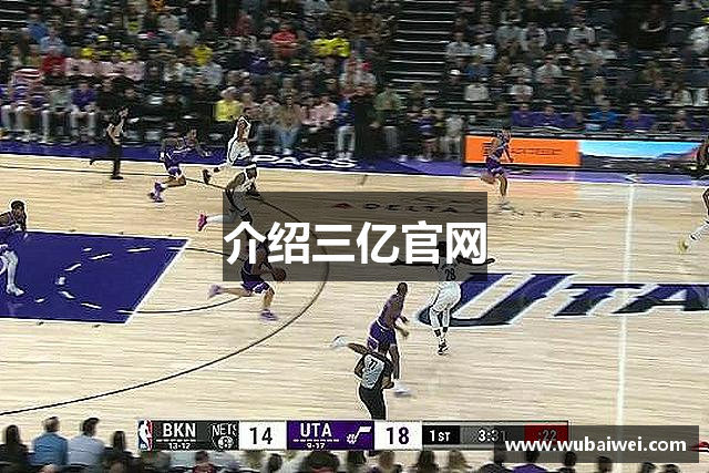 介绍三亿官网
